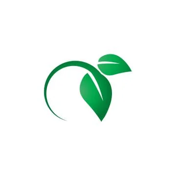 Green leaf logo icon design template Stock Illustration