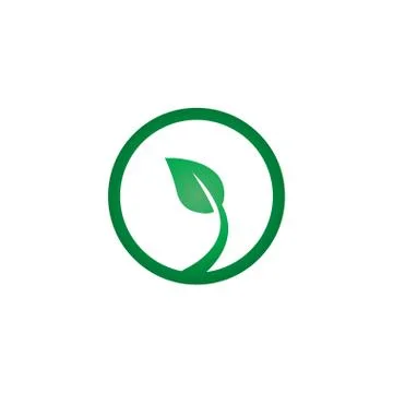 Green leaf logo icon design template Illustrazione stock