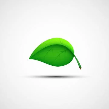 Green leaf logo. Stock-Illustration
