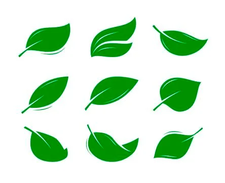 Green leaf logo or label. natural product, nature, eco icon. vector illustration Stock Illustration