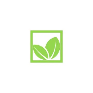 Green leaf logo, shape plant in the square frame, mockup graphic creative eco Stock Illustration