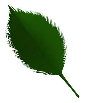 Green leaf made of paper Stock Illustration