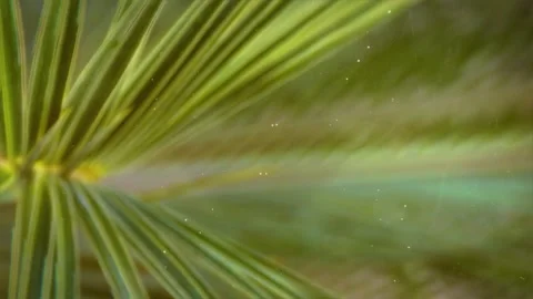 Green leaf moving to the background. texture 3D rendering Stock Footage 260937751