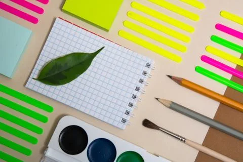 Green leaf on a notebook and school supplies for primary school Foto stock