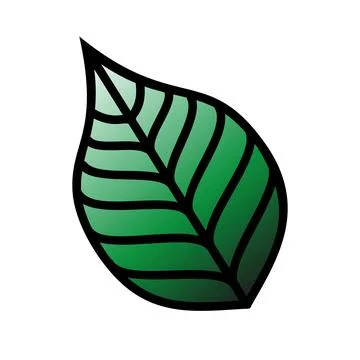 Green leaf in old school tattoo style. vector illustration Stock Illustration