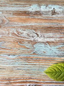 Green leaf on old wooden background. Top view with copy space. Stock Photos