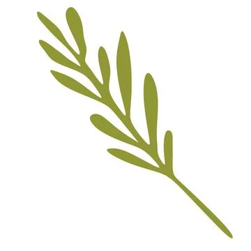 Green leaf or branch on white background. Flat vector illustration. Botanic.. Stock Illustration