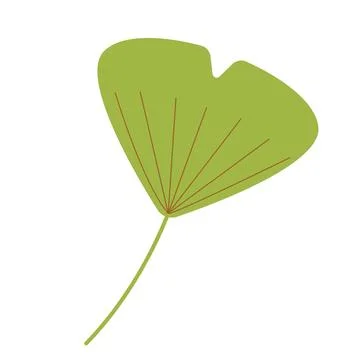 Green leaf over white background. Vector graphics. Artwork design element. Ca Stock Illustration