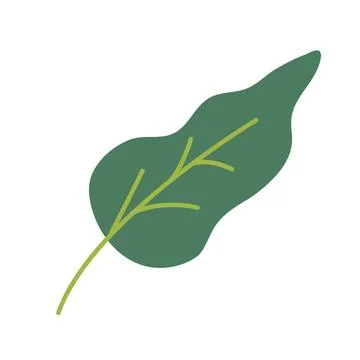 Green leaf over white background. Vector graphics. Artwork design element. Ca Stock Illustration