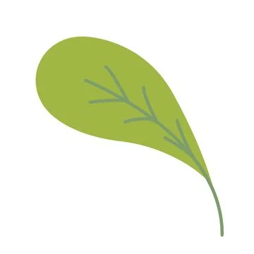 Green leaf over white background. Vector graphics. Artwork design element. .. Stock Illustration
