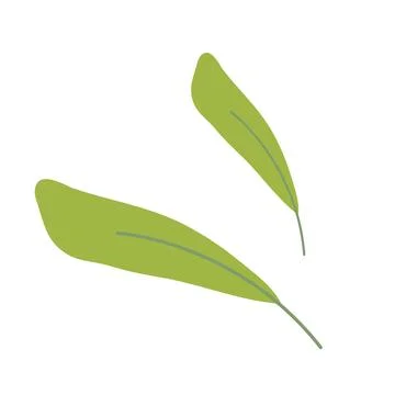 Green leaf over white background. Vector graphics. Artwork design element. Ca Stock Illustration
