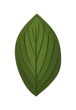 Green leaf painting vector design Ilustración de archivo