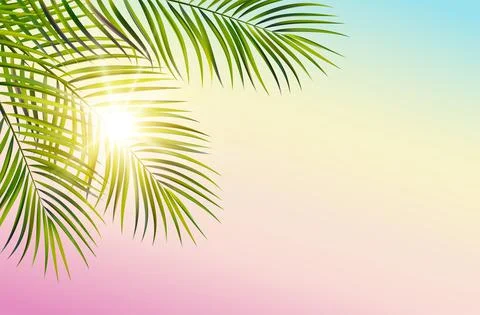Green leaf of palm tree on white background Stock Illustration