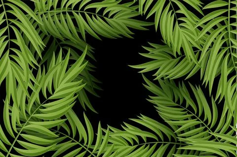 Green leaf of palm tree on white background Illustrazione stock