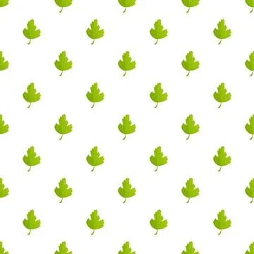 Green leaf parsley pattern on white background Stock Illustration