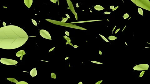 Green leaf particles animation falling from top to bottom. Stock Footage 335895034