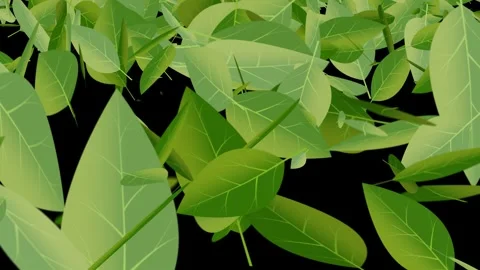 Green leaf particles animation with a wave of leaves falling forward. Stock Footage 337733703