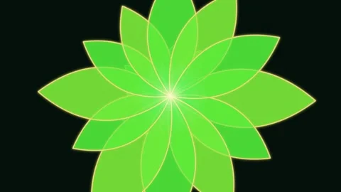 Green leaf pattern creates a vibrant and lively background scene Stock Footage 337072796