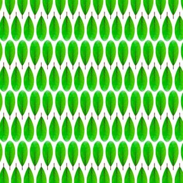 Green leaf pattern design Stock Illustration