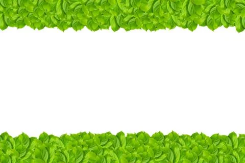 Green leaf pattern isolated Stock Photos