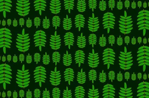 Green leaf of rowan on dark background Illustrazione stock