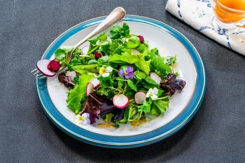 Green leaf salad Stock Photos