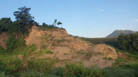 Green leaf scenery in Indonesia Vidéo 336009535