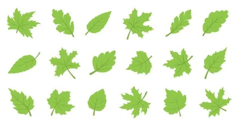Green leaf set. Eco design Stock Illustration