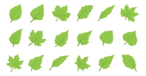 Green leaf set. Eco design Stock Illustration