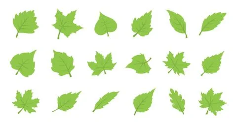 Green leaf set. Eco design Illustrazione stock