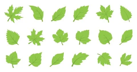 Green leaf set. Eco design Stock Illustration