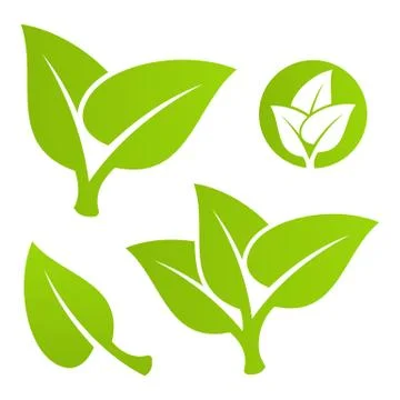Green leaf set Stock Illustration