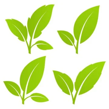 Green leaf set Stock Illustration