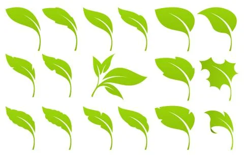 Green leaf set Stock Illustration