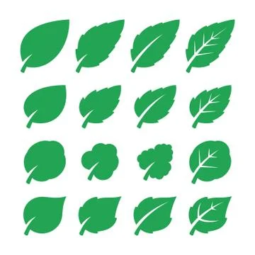 Green leaf set. Stock Illustration