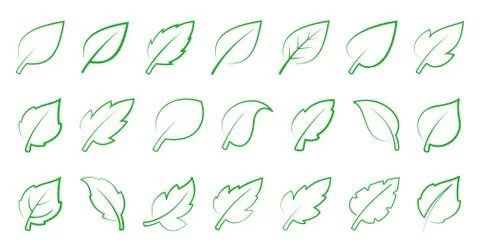 Green leaf set Stock Illustration