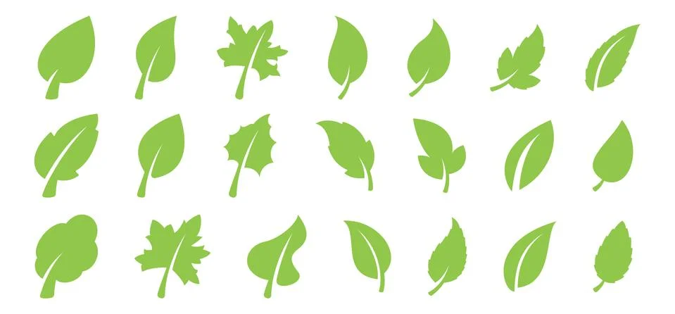 Green leaf set Stock Illustration