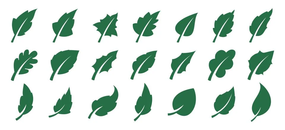 Green leaf set Stock Illustration