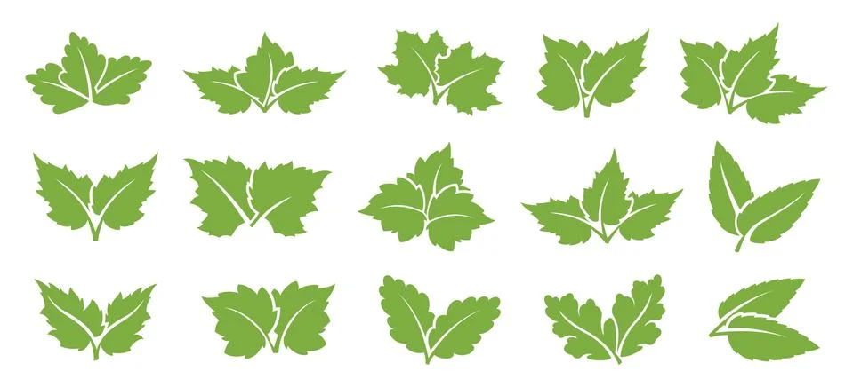 Green leaf set Stock Illustration