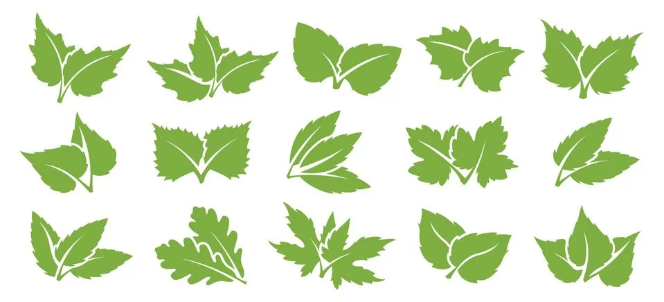 Green leaf set Stock Illustration