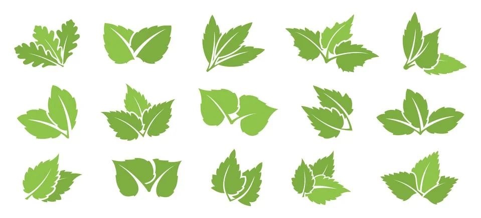 Green leaf set Stock Illustration