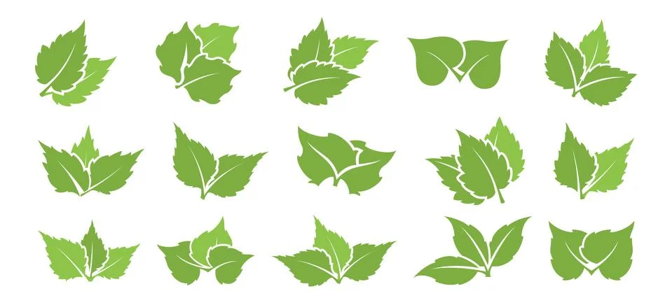 Green leaf set Stock Illustration