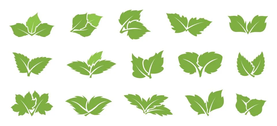Green leaf set Stock Illustration
