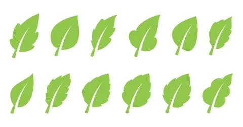 Green leaf set Illustrazione stock