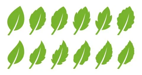 Green leaf set Stock Illustration