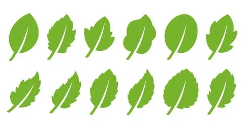 Green leaf set Stock Illustration