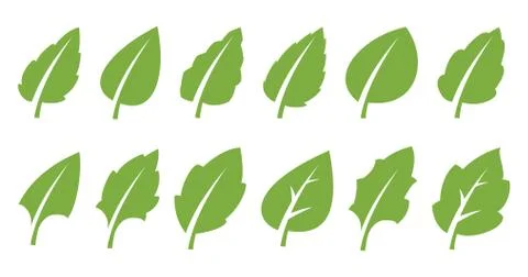 Green leaf set Stock Illustration