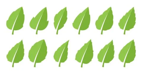 Green leaf set Illustrazione stock