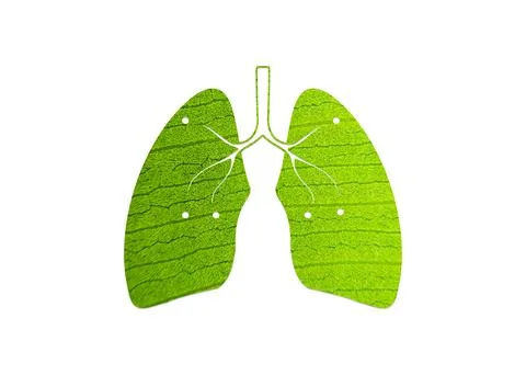 Green leaf shaped like human lungs conceptual vector illustration Stockillustratie