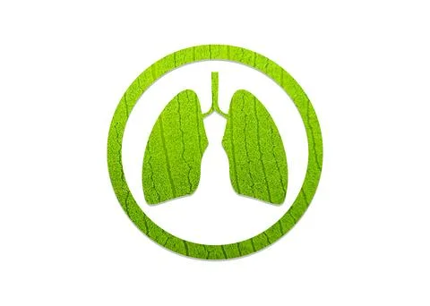 Green leaf shaped like human lungs conceptual vector illustration Stock-Illustration